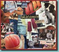 LaurensVisionBoard12Square