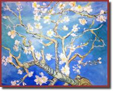 NancysBlossomingAlmondTree1